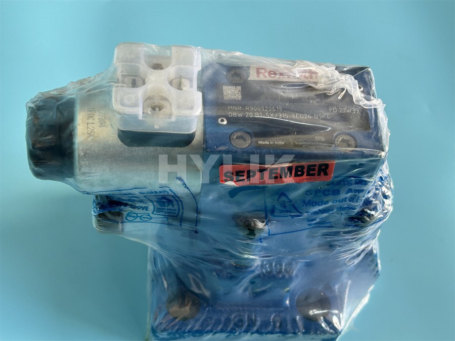 R900920619 DBW20B1-5X/315-6EG24N9K4 