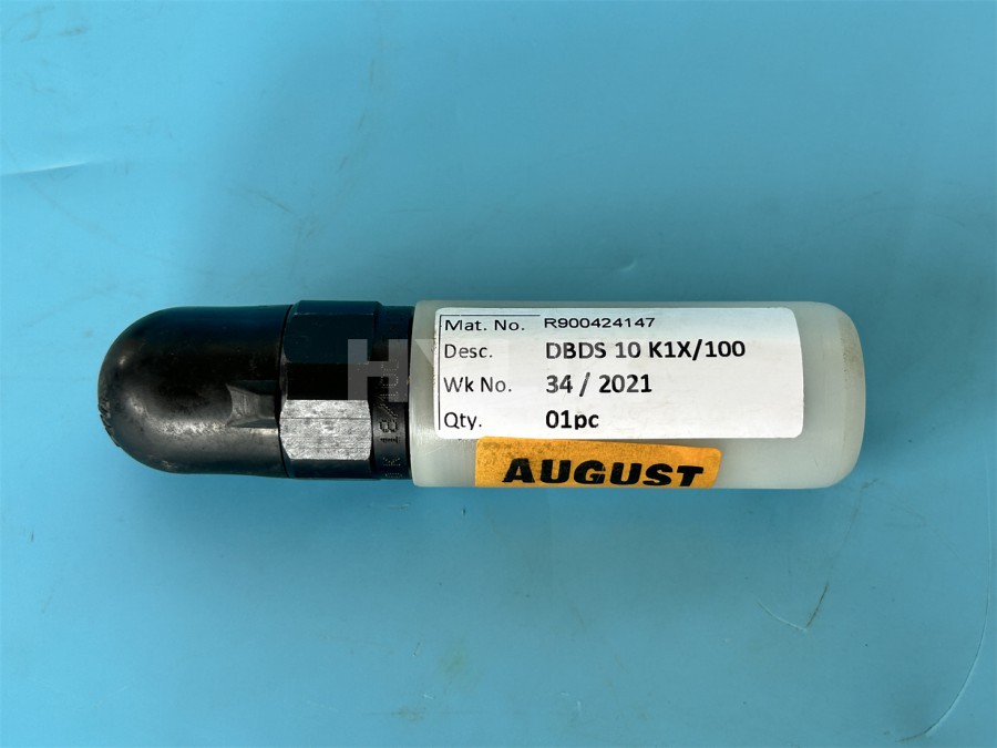 R900424147 DBDS10K1X/100
