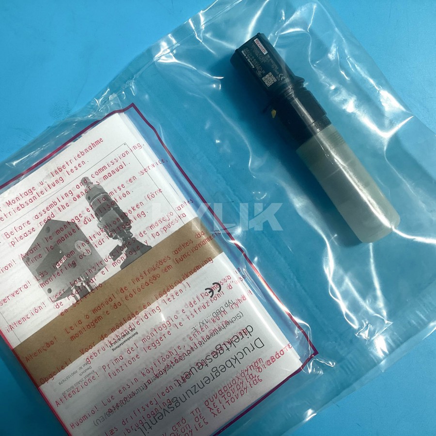 R900769369 DBDS6K1X/100E